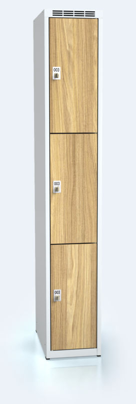 Cloakroom locker with three lockable boxes ALDERA 1800 x 300 x 500