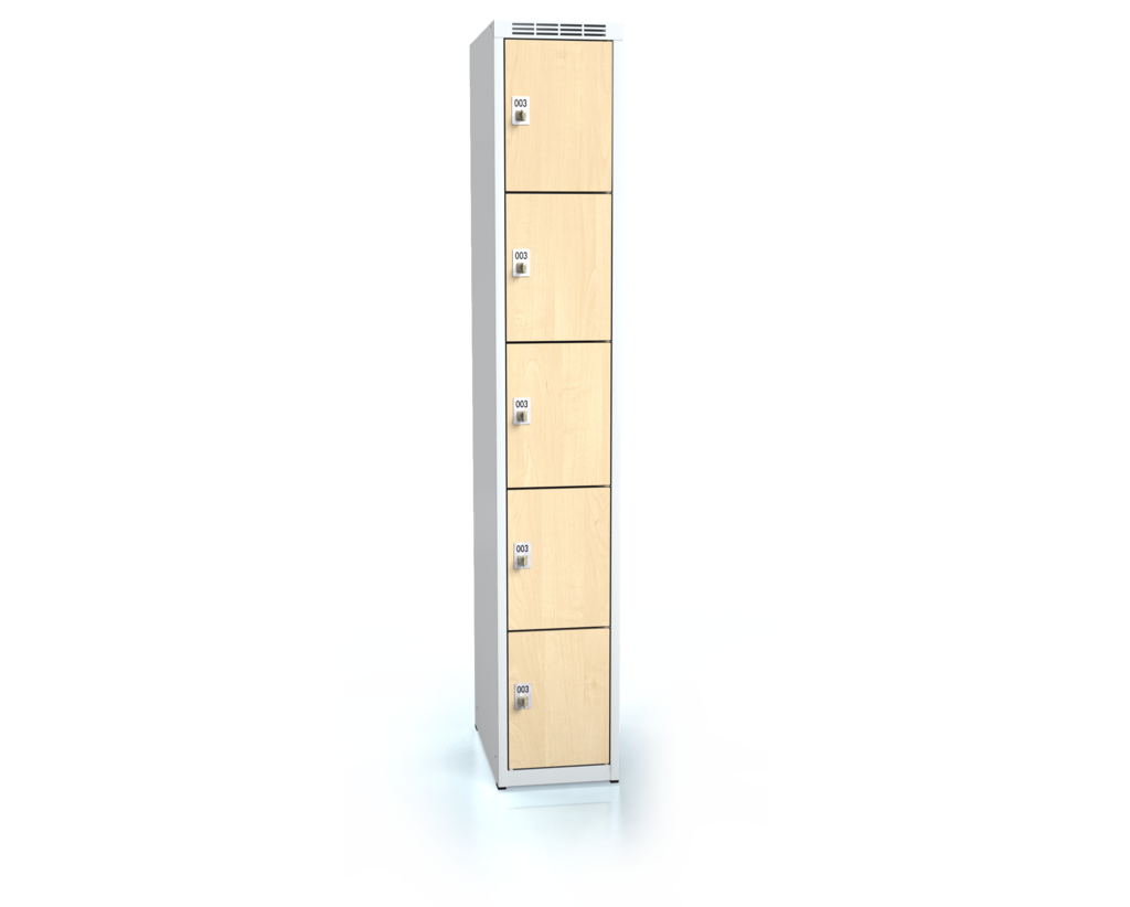 Cloakroom locker with five lockable boxes ALDERA 1800 x 300 x 500