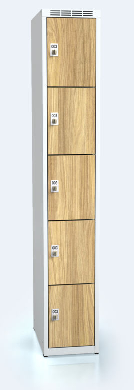 Cloakroom locker with five lockable boxes ALDERA 1800 x 300 x 500